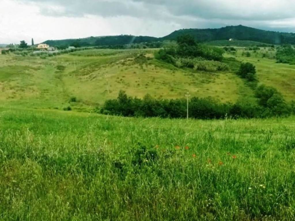 Terreno a Magliano in toscana in Frazione zona Colle di Lupo, 1 - Foto 3