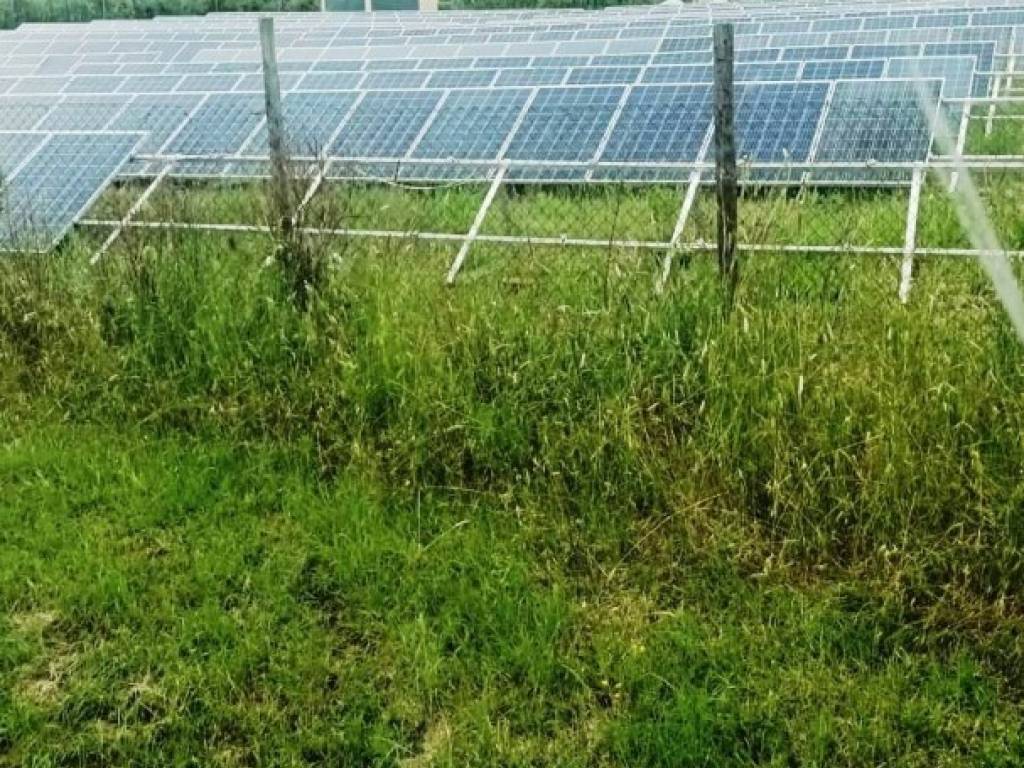 Terreno a Magliano in toscana in Frazione colle di lupo, 1 - Foto 2