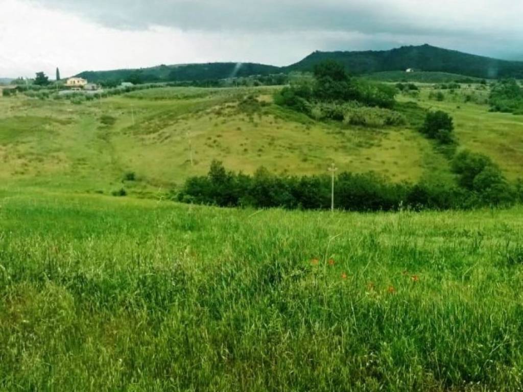 Terreno a Magliano in toscana in Frazione colle di lupo, 1 - Foto 3