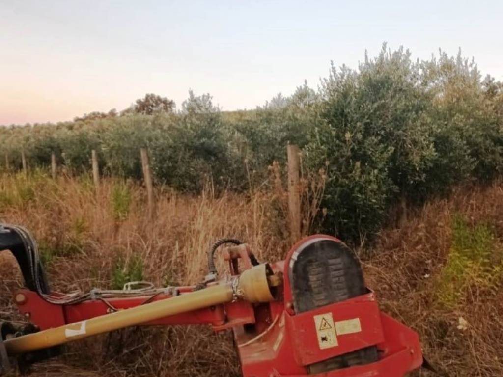Terreno a Magliano in toscana in Frazione colle di lupo, 1 - Foto 4