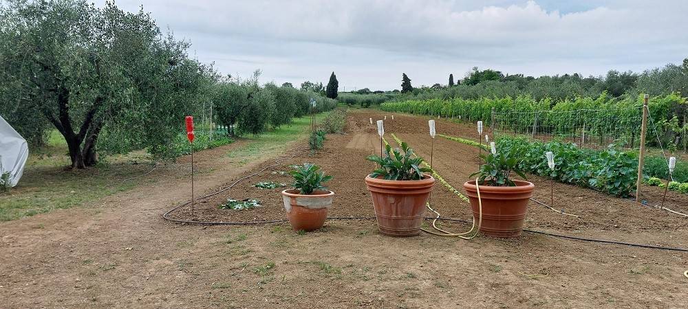 Villa a Coriano - Foto 5