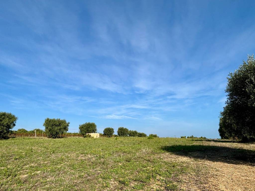 Terreno a Grottammare - Foto 2