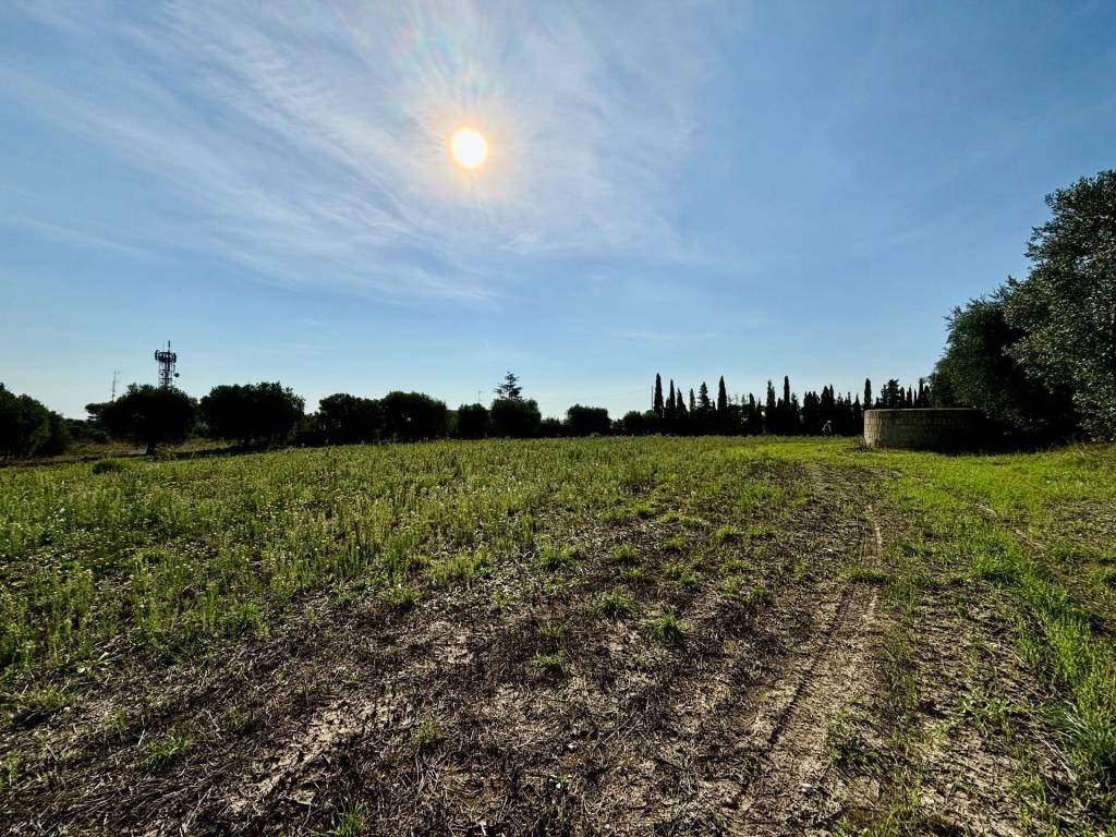 Terreno a Grottammare - Foto 3