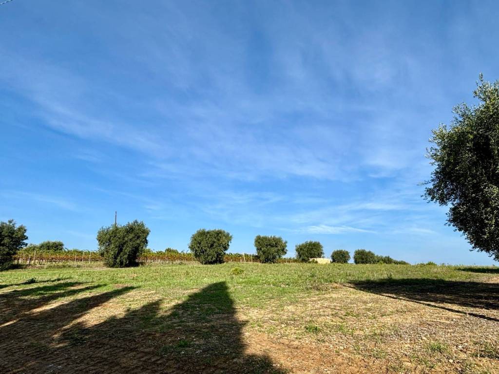 Terreno a Grottammare - Foto 5