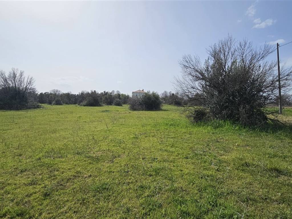 Terreno a Lanciano in Strada Statale Frentana - Foto 5