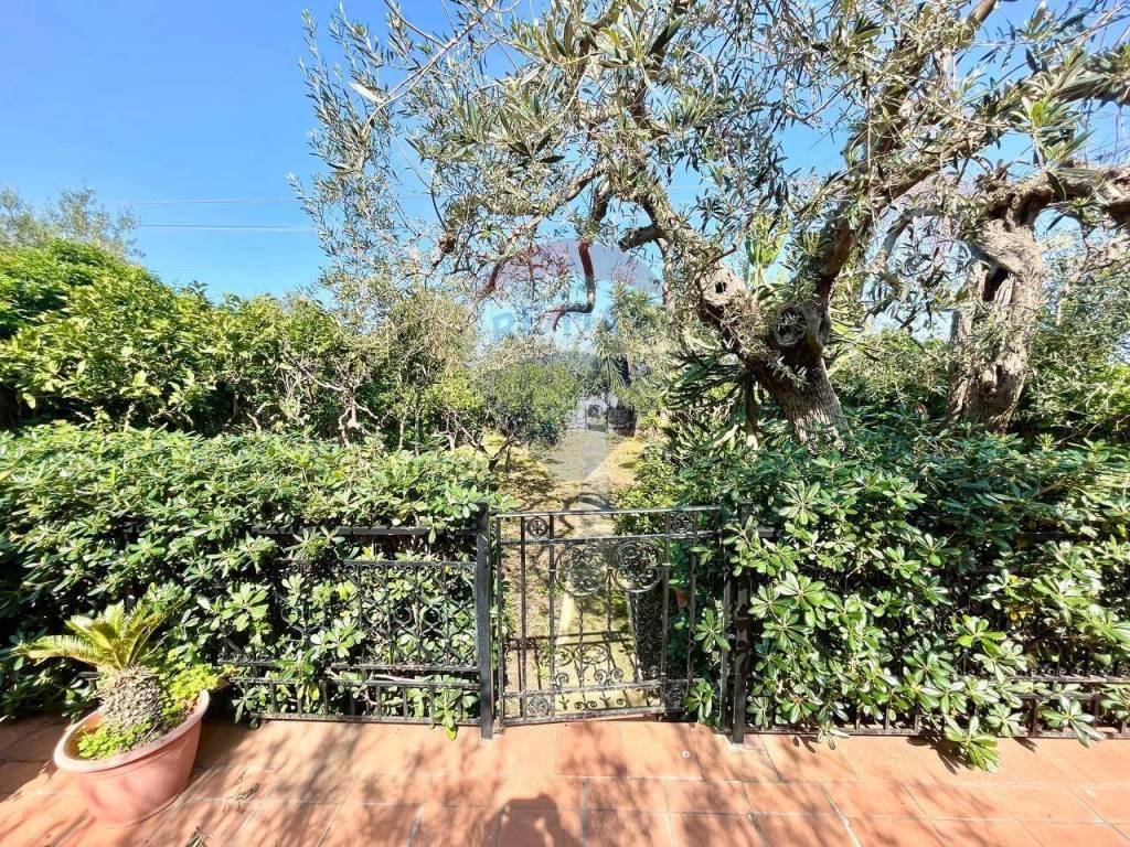 Villa a Cinisi in Contrada Scaletta - Foto 4