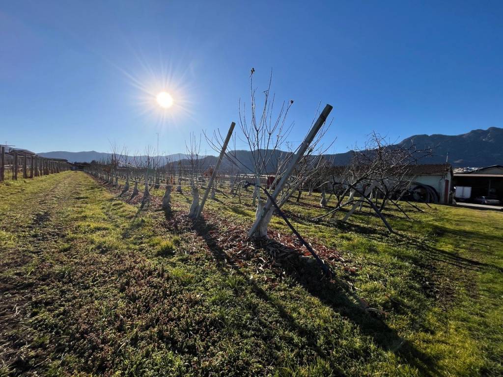 Terreno a Revello in Via Tetti Elia, 13 - Foto 3