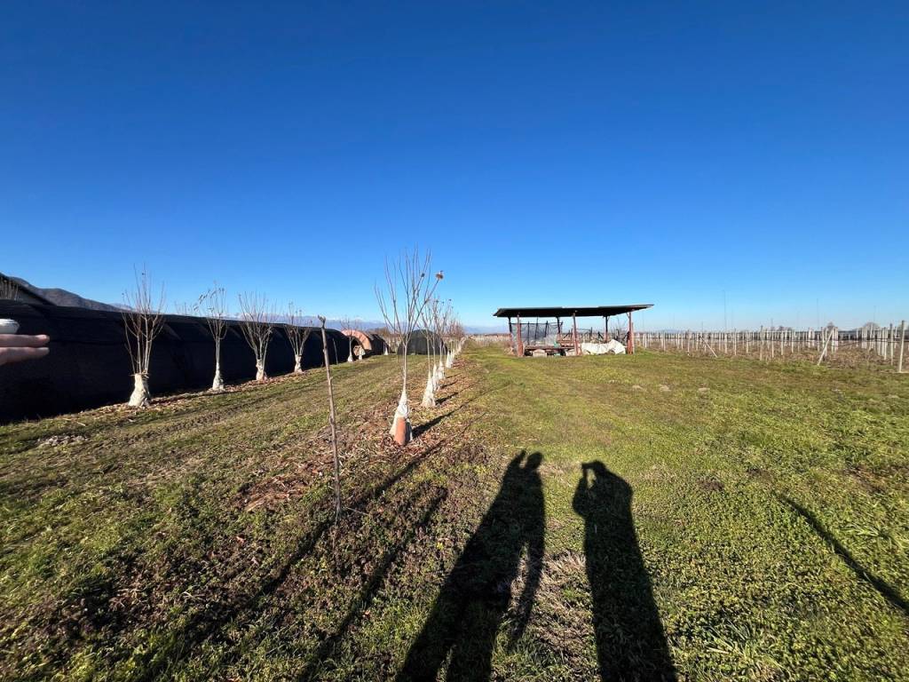 Terreno a Revello in Via Tetti Elia, 13 - Foto 5