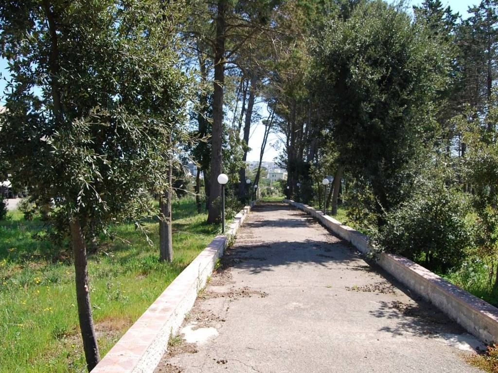Terreno a Martina franca in Via Mottola, 91 - Foto 3