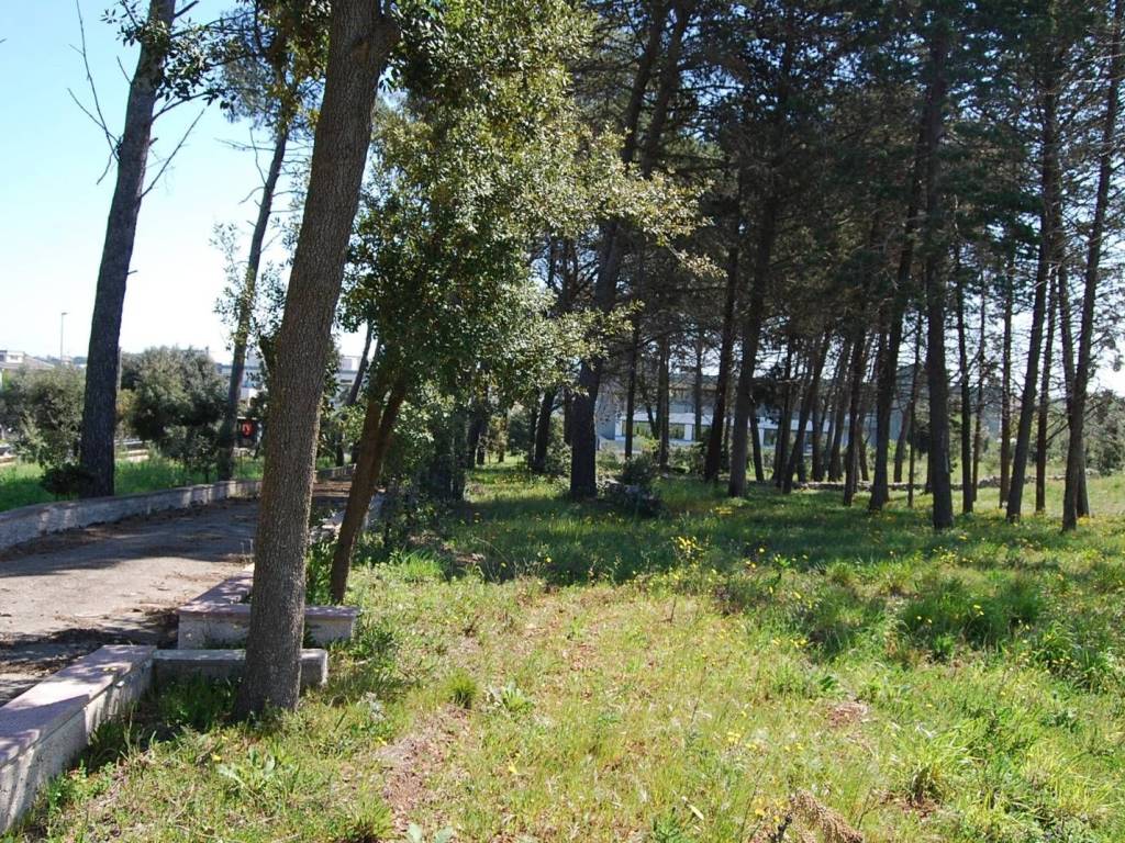 Terreno a Martina franca in Via Mottola, 91 - Foto 4