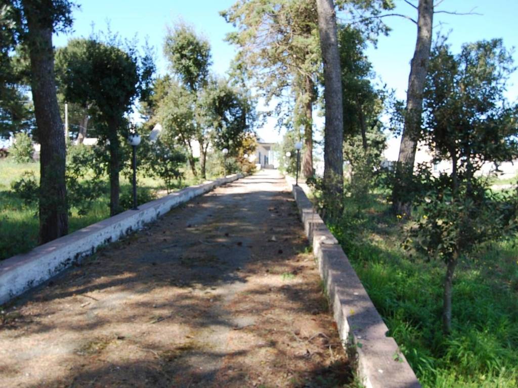 Terreno a Martina franca in Via Mottola, 91 - Foto 5