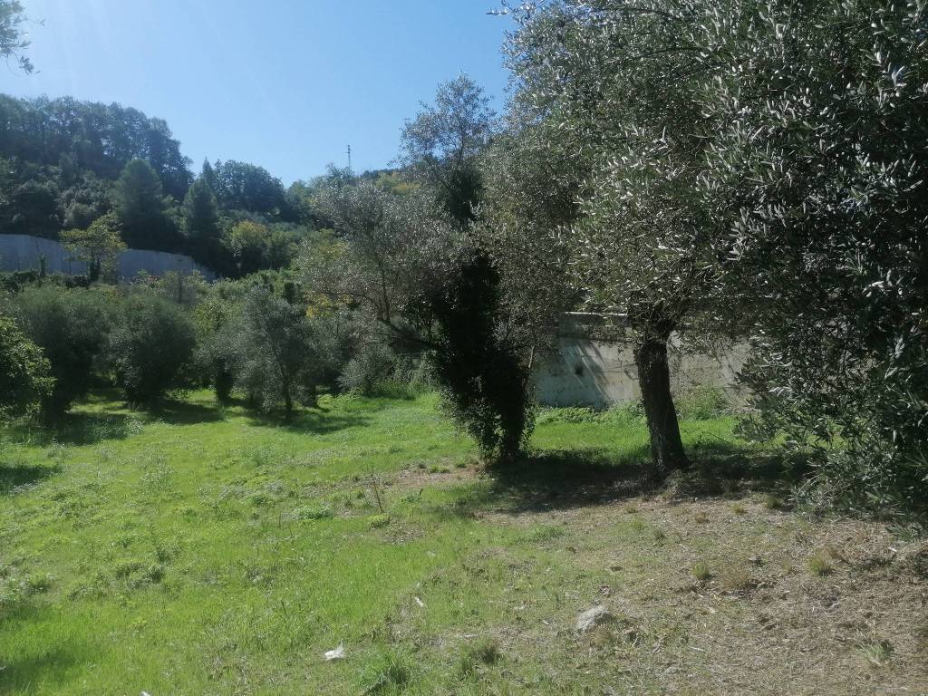 Terreno a Pescara in Strada Vicinale Carlettini - Foto 2