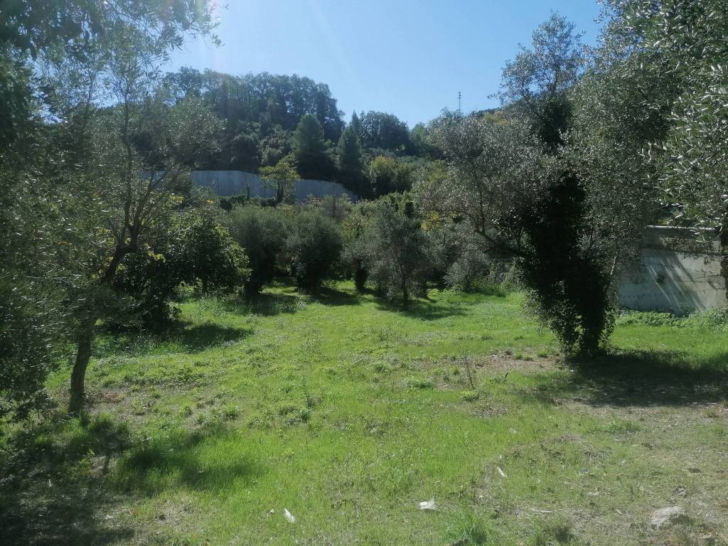 Terreno a Pescara in Strada Vicinale Carlettini - Foto 3
