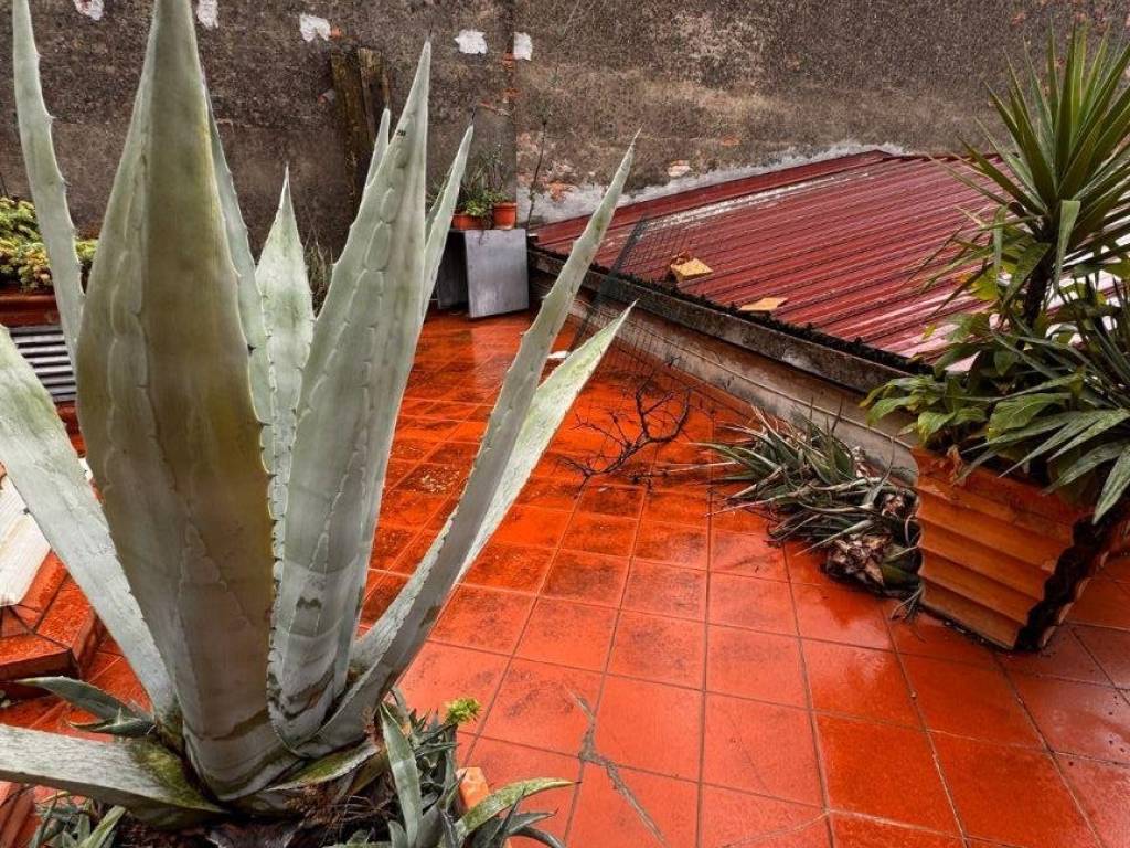 Appartamento a Monsummano terme in Piazza Giuseppe Giusti - Foto 2