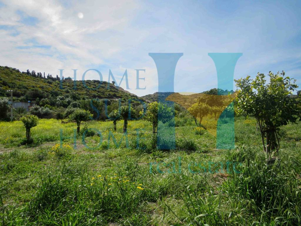 Terreno a Noto in Via Tommaso Fazello, 228 - Foto 2