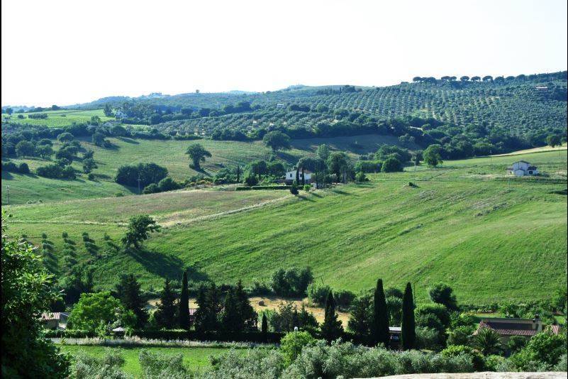 Rustico / casale a Magliano in toscana - Foto 2