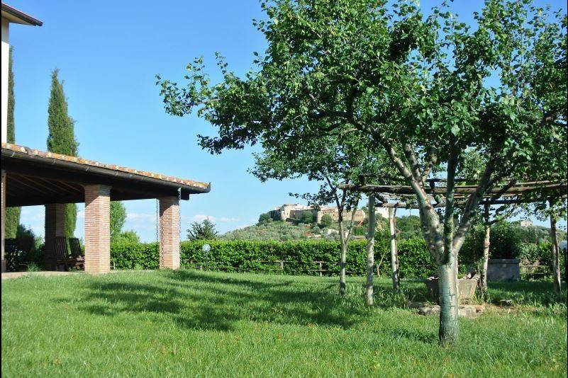 Rustico / casale a Magliano in toscana - Foto 3