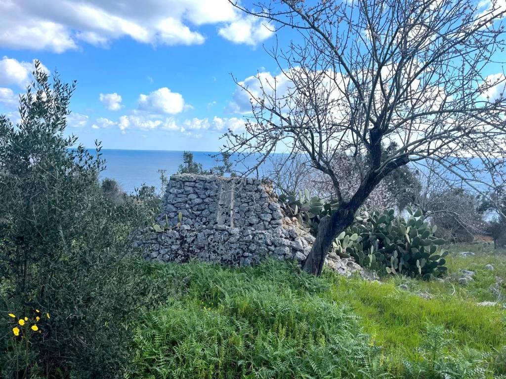 Rustico / casale a Tricase in Via Vittorio Bottego - Foto 4