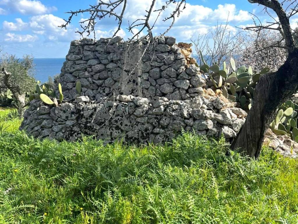 Rustico / casale a Tricase in Via Vittorio Bottego - Foto 5