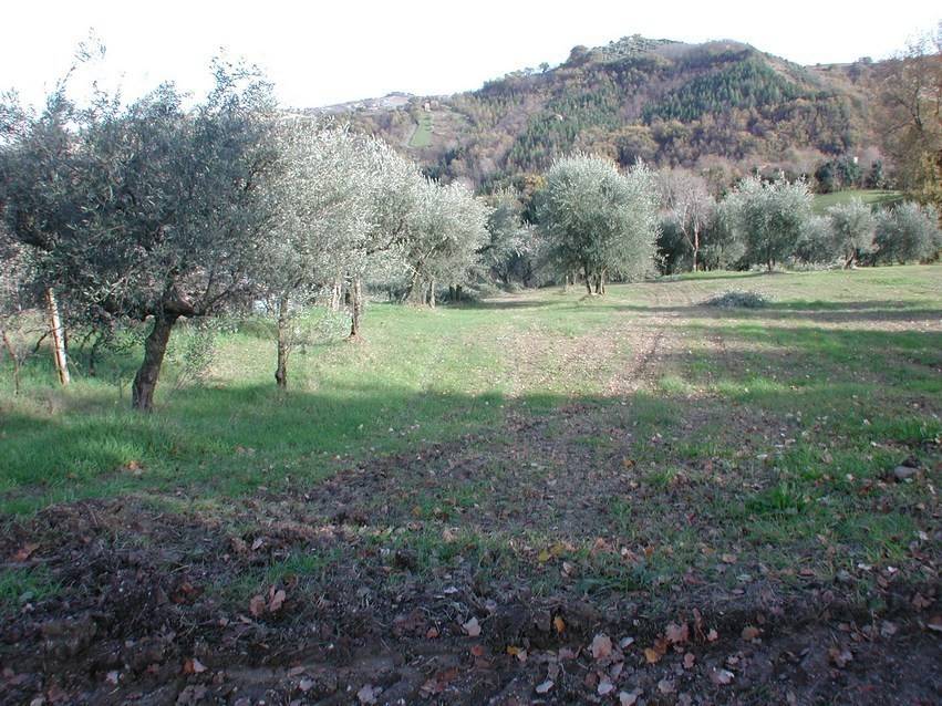 Villa a Montappone in Via Selva, 53 - Foto 5