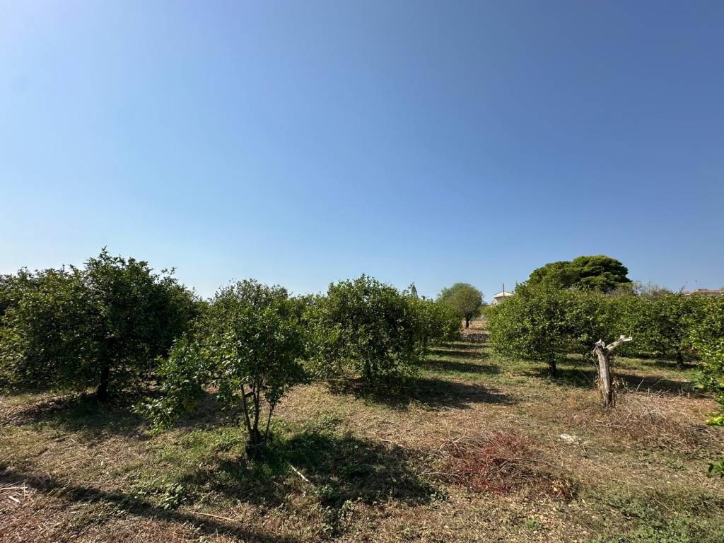 Terreno a Noto in Via Ricciola - Foto 3