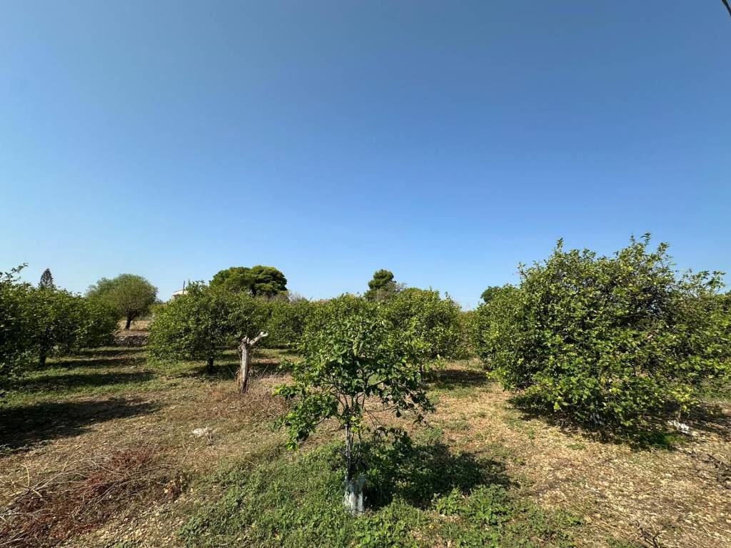 Terreno a Noto in Via Ricciola - Foto 4