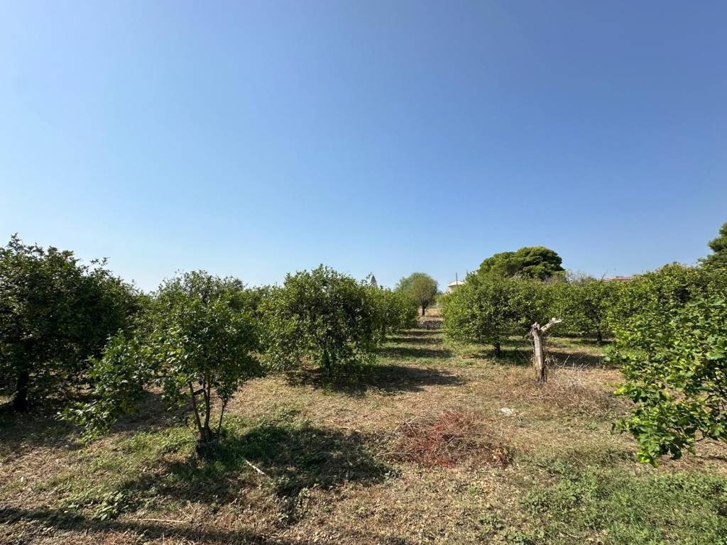 Terreno a Noto in Via Ricciola - Foto 5