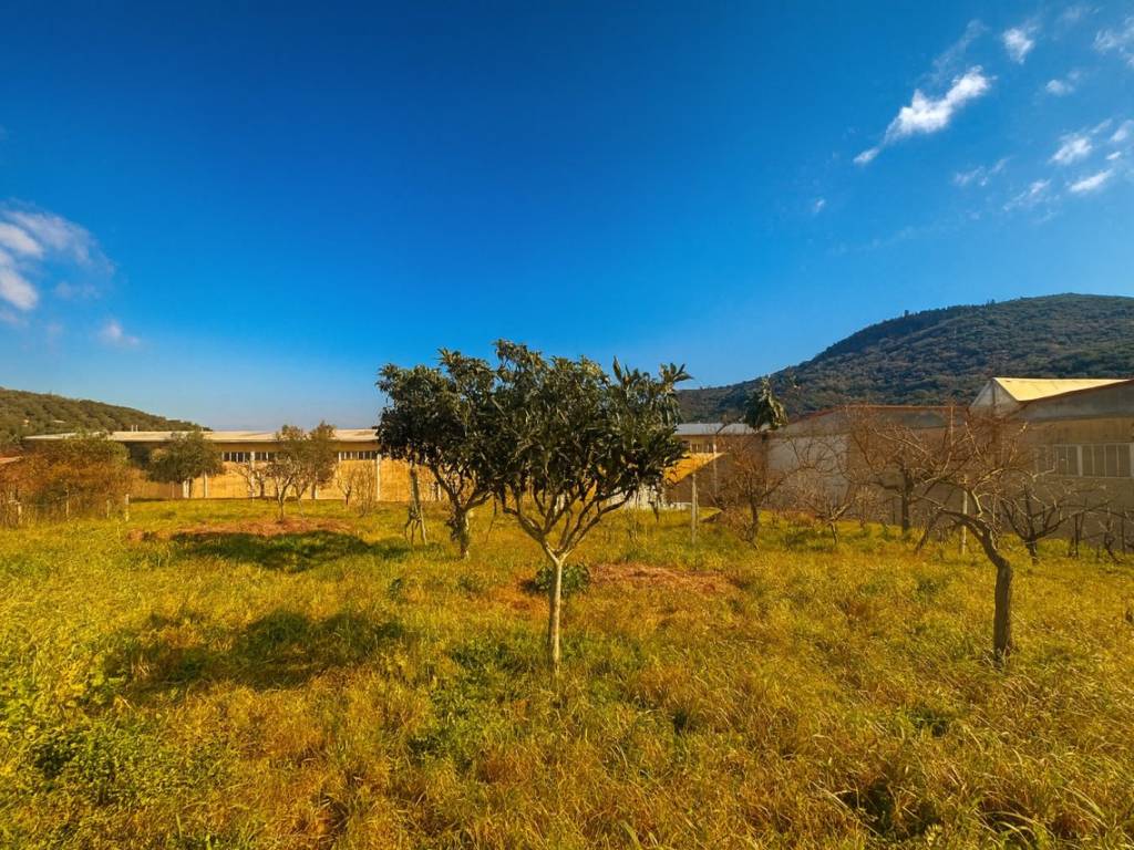 Rustico / casale a Monte argentario in Via del Campone - Foto 5