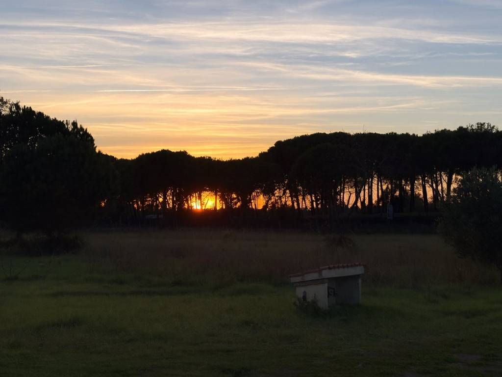 Rustico / casale a Orbetello in Strada Provinciale Giannella - Foto 4