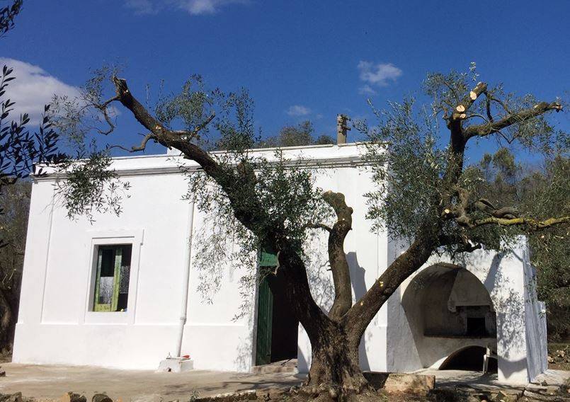 Rustico / casale a San vito dei normanni in Contrada San Giacomo - Foto 2