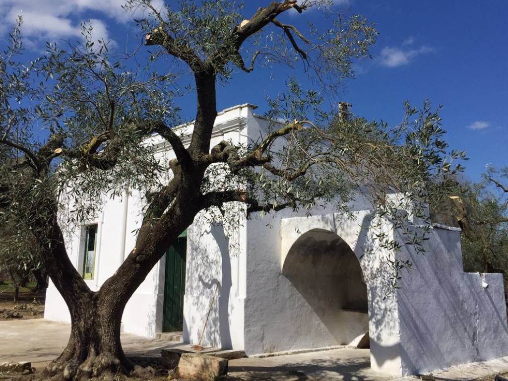 Rustico / casale a San vito dei normanni in Contrada San Giacomo - Foto 4