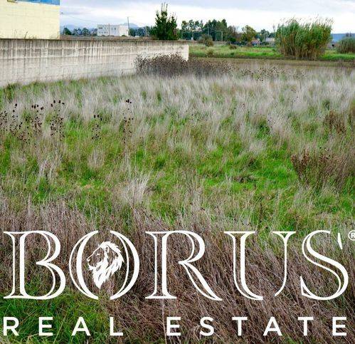 Terreno a Castel volturno - Foto 2