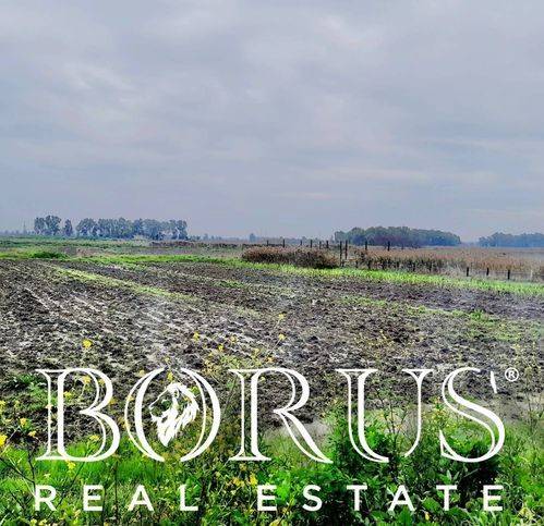 Terreno a Castel volturno - Foto 4