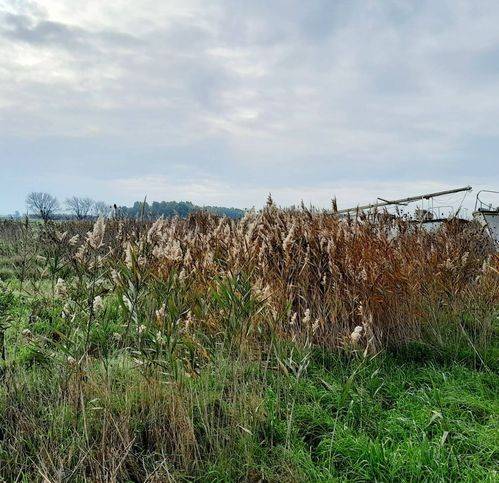 Villa a Castel volturno in Via Potenza - Foto 5