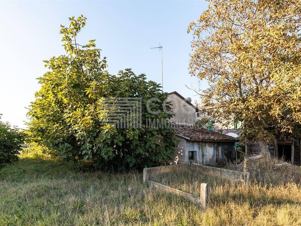 Casa indipendente a Cotignola in Via Rio - Foto 4