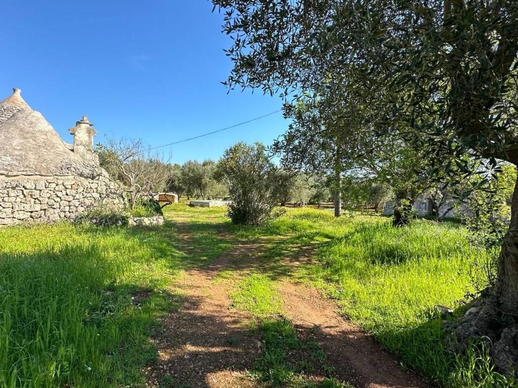 Rustico / casale a Ceglie messapica in Contrada Sessana Piccola - Foto 5