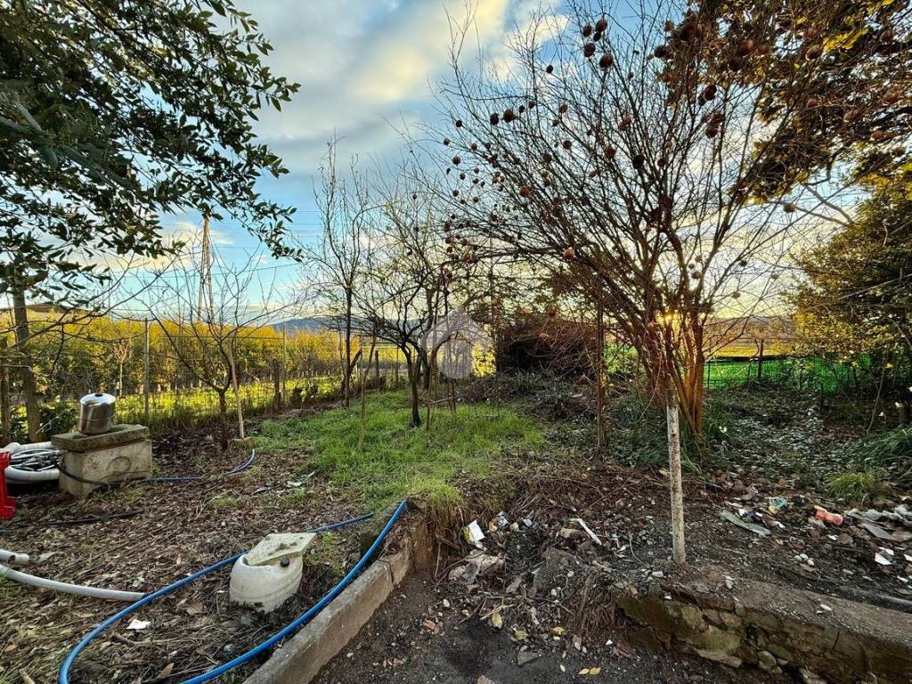 Casa indipendente a Quarrata in Via statale, 106 - Foto 2