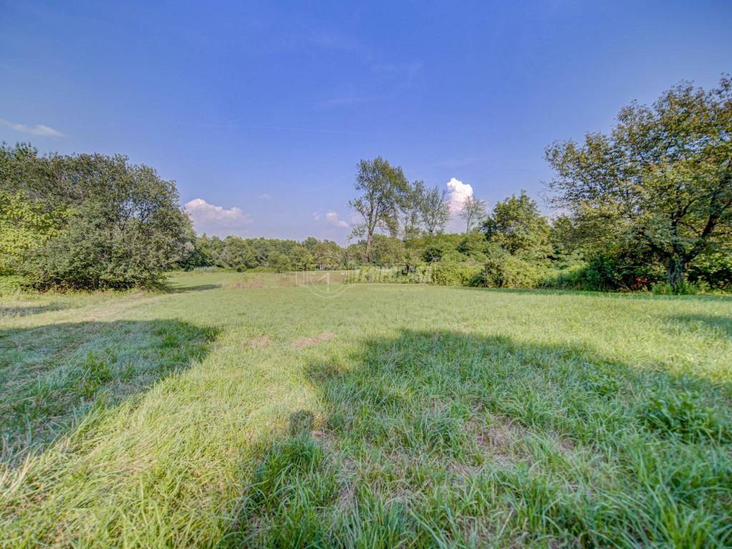 Terreno a Comabbio in Via Paolo Campiglio - Foto 3