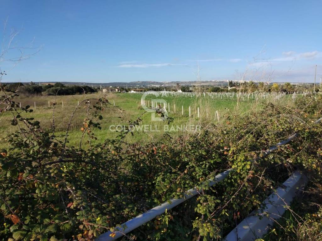 Terreno a Ispica in C.da Salmeci - Foto 2