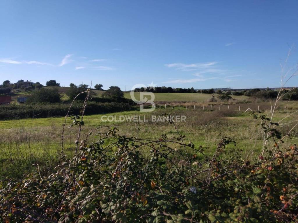 Terreno a Ispica in C.da Salmeci - Foto 4