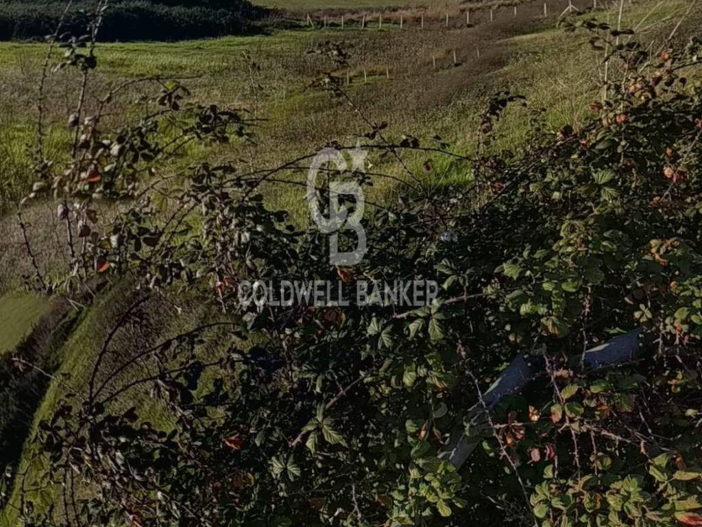 Terreno a Ispica in C.da Salmeci - Foto 5