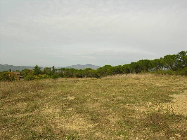 Terreno a Citerna in Località Cerecchio - Foto 2