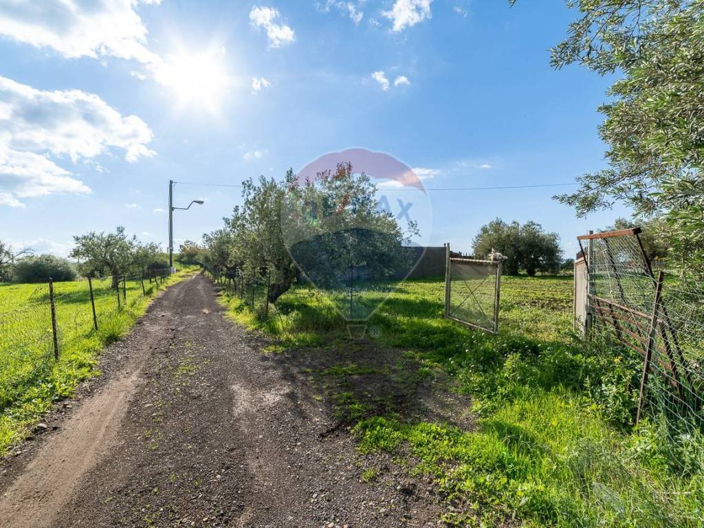 Terreno a Motta sant'anastasia in Via Terre Nere, 161 - Foto 2