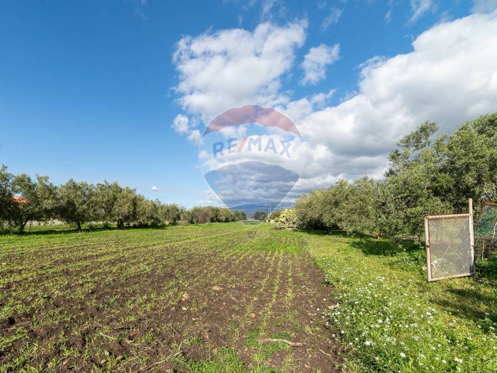Terreno a Motta sant'anastasia in Via Terre Nere, 161 - Foto 3