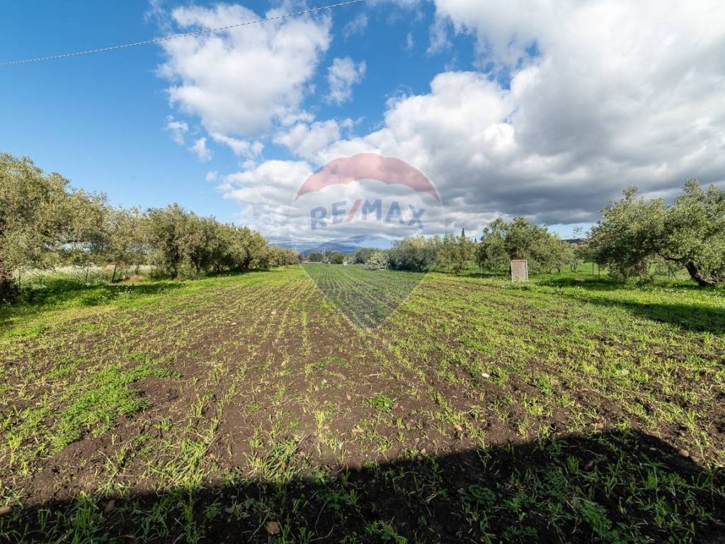 Terreno a Motta sant'anastasia in Via Terre Nere, 161 - Foto 5