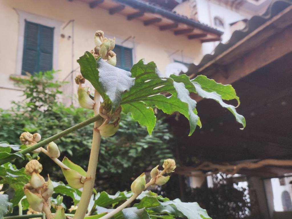 Appartamento a Verbania in Via Antonio Baiettini - Foto 5