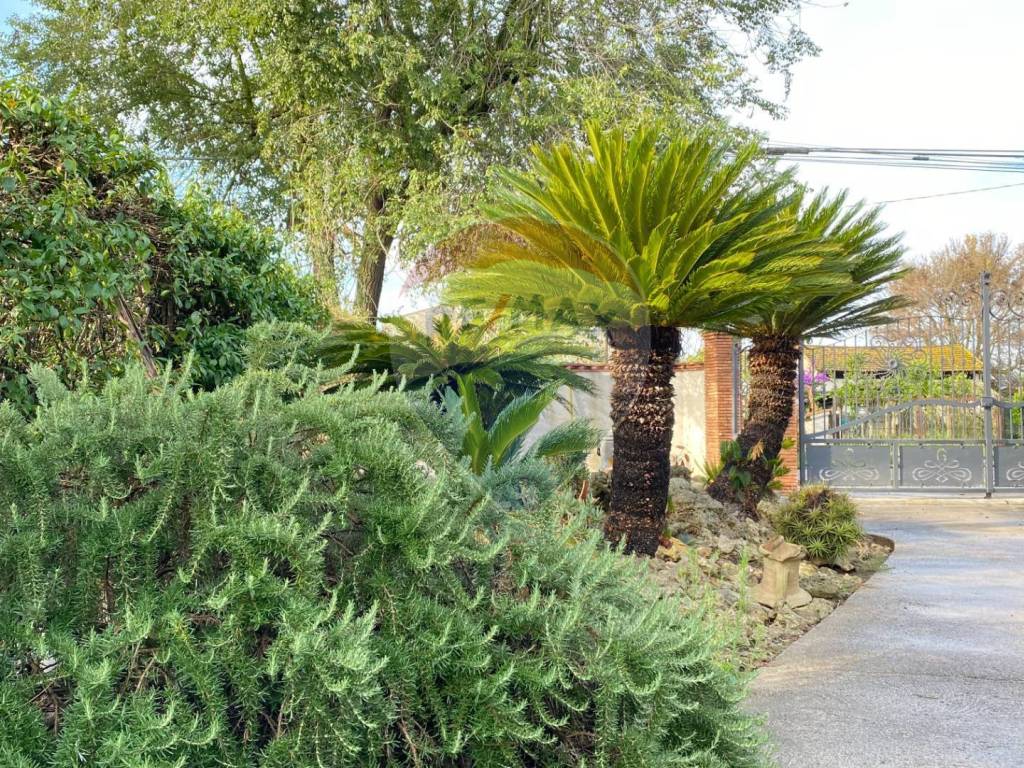 Casa indipendente a Terracina in Seconda Macchia Di Piano, 40 - Foto 2
