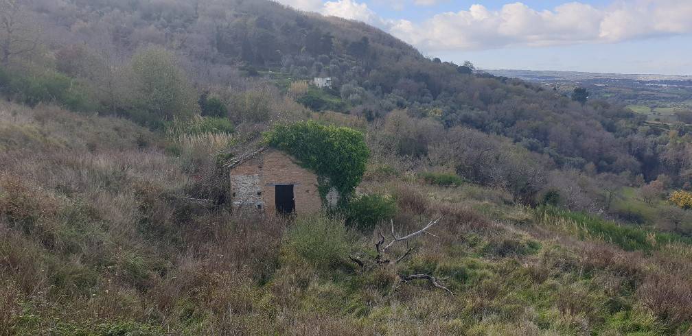 Terreno a Vibo valentia in Via Gallizzi - Foto 2