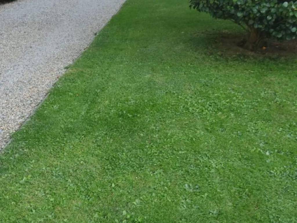 Appartamento a Lucca in Via per Camaiore s.n.c - Foto 4