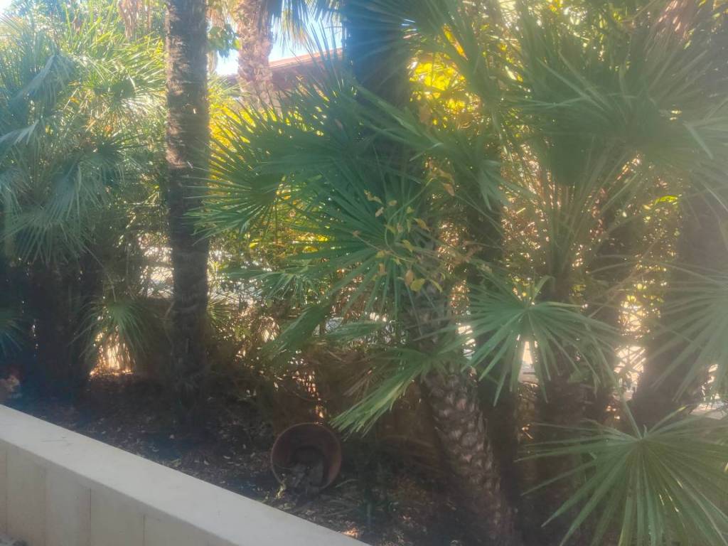 Villetta a schiera a Bisceglie in Viale La Testa, 28 - Foto 4